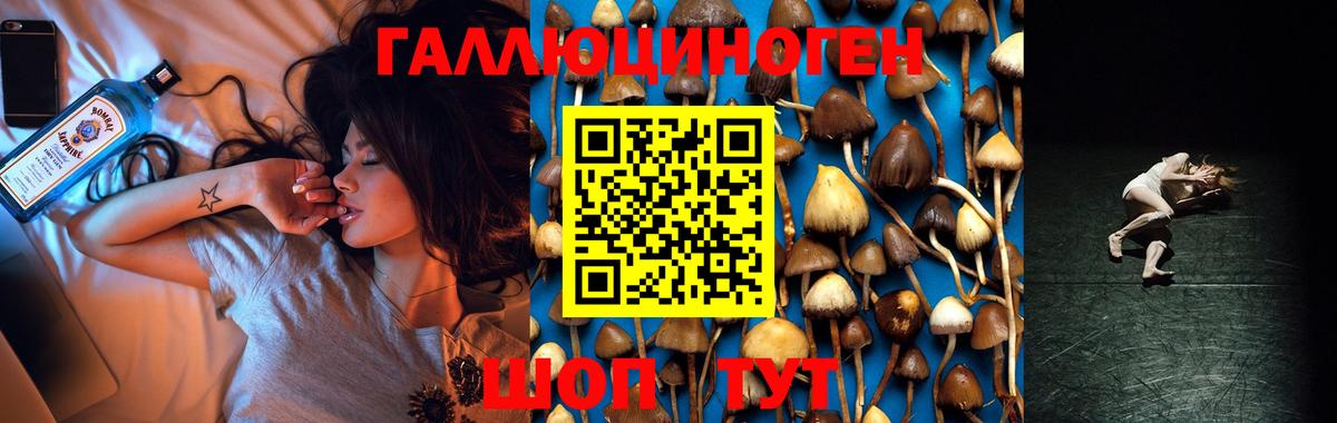 где продают   Псилоцибиновые грибы Psilocybe  Михайловка  Вход с VPN  Галлюциногенные грибы ЛСД 